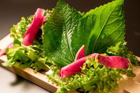 【季節の葉野菜サラダ】
季節の葉野菜に自家製の玉ねぎドレッシング